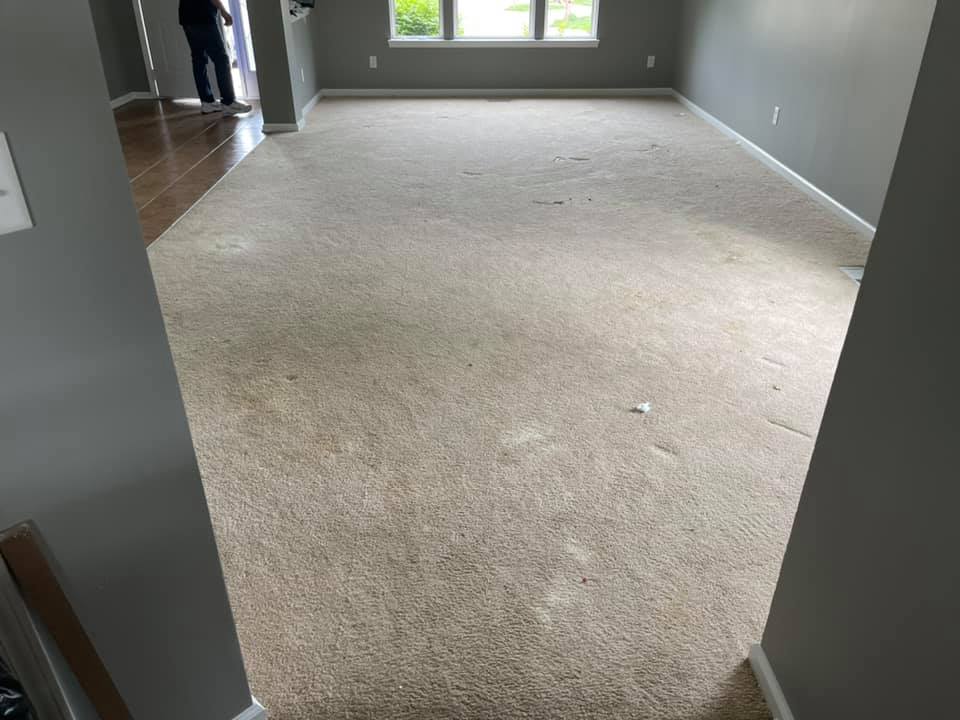 Benny's Carpet